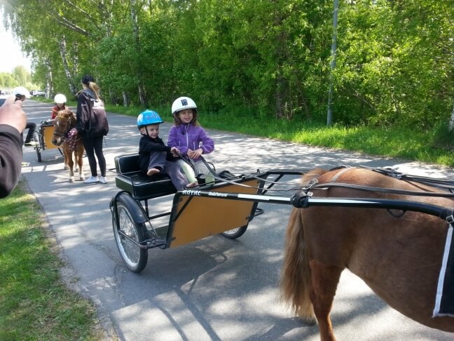 pony cart